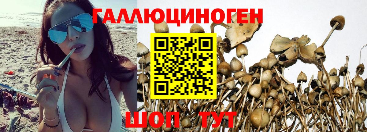 Галлюциногенные грибы Psilocybine cubensis  Вход с VPN  Орёл  Псилоцибиновые грибы прущие грибы 