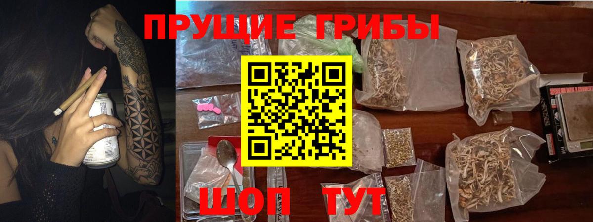 Галлюциногенные грибы Psilocybe Орёл